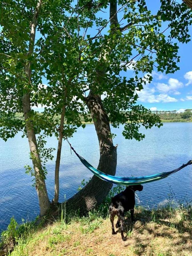 Lake House I Pioppi Nepi Kültér fotó
